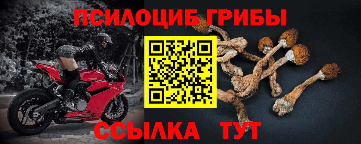 Галлюциногенные грибы Cubensis Кстово