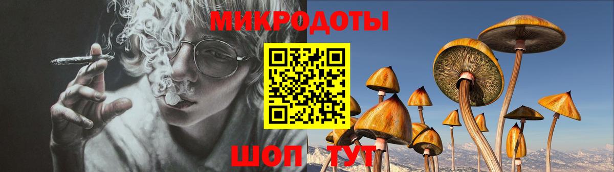 Галлюциногенные грибы Cubensis  где продают наркотики  Кстово  Вход с VPN  Галлюциногенные грибы мицелий 